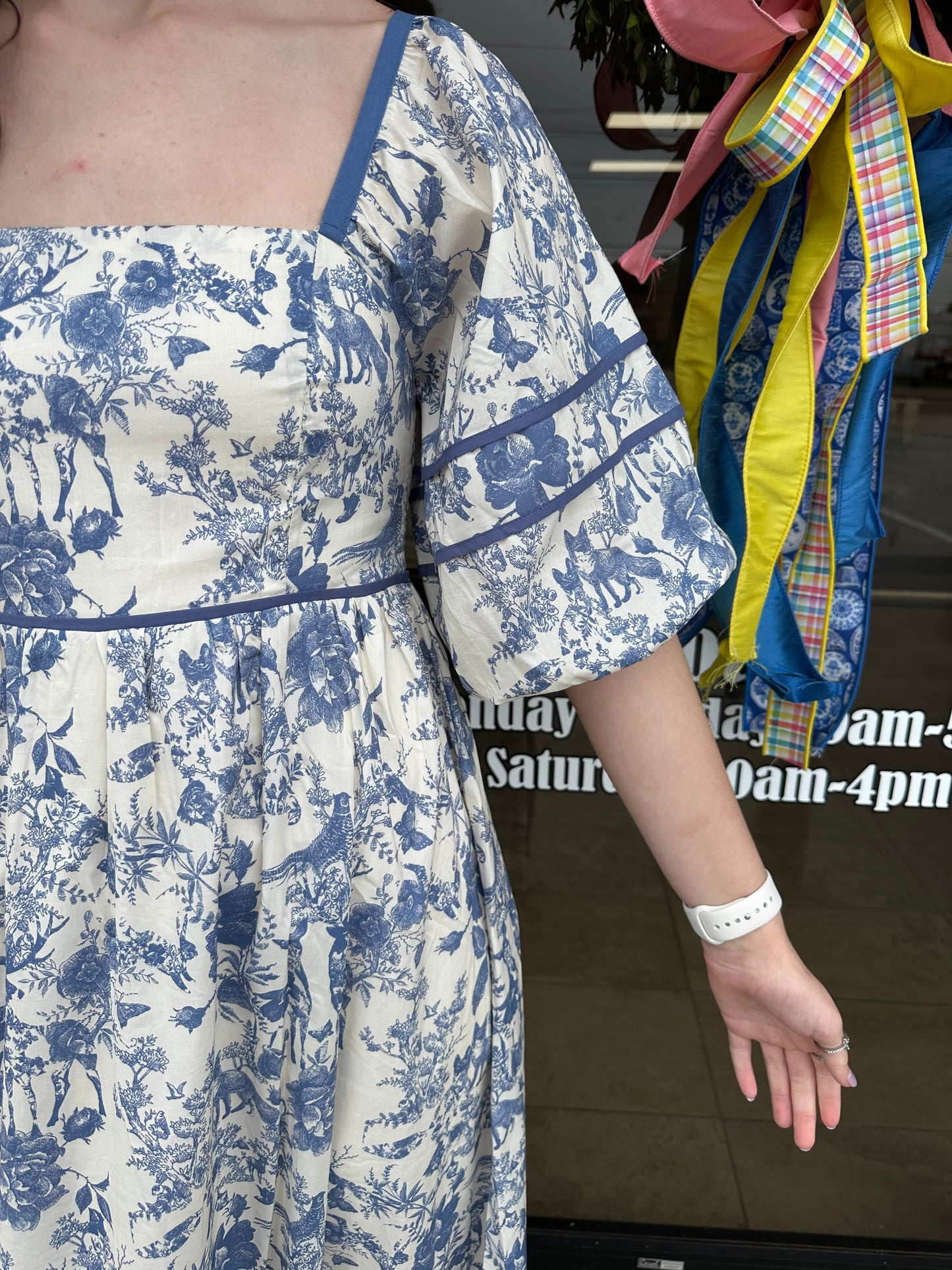 Blue Toile Maxi Dress