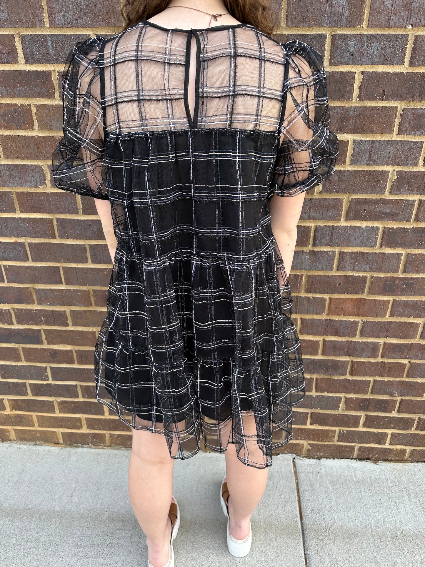 Embroidered Mesh Puff Sleeve Mini Tiered Dress