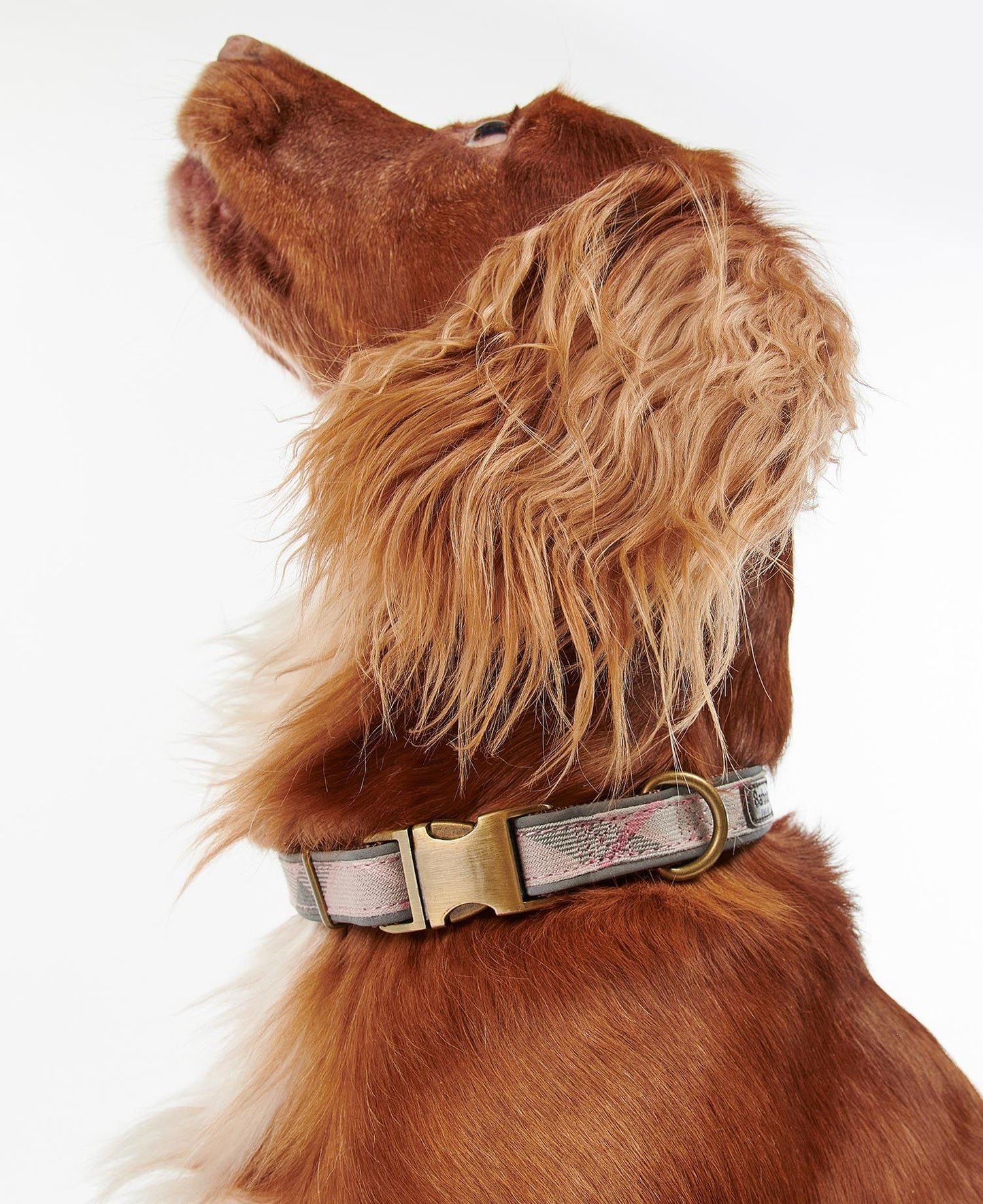 Barbour Reflective Taupe/Pink Tartan Dog Collar