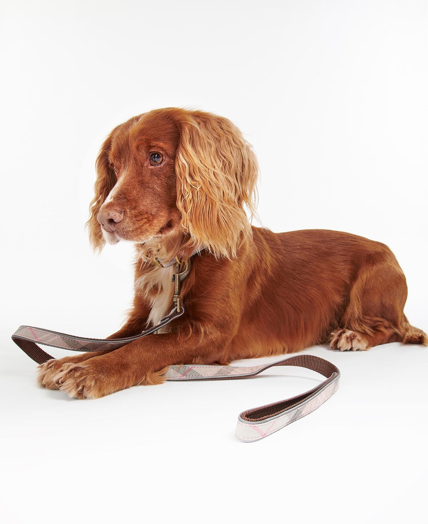 Barbour Reflective Taupe/Pink Tartan Dog Lead