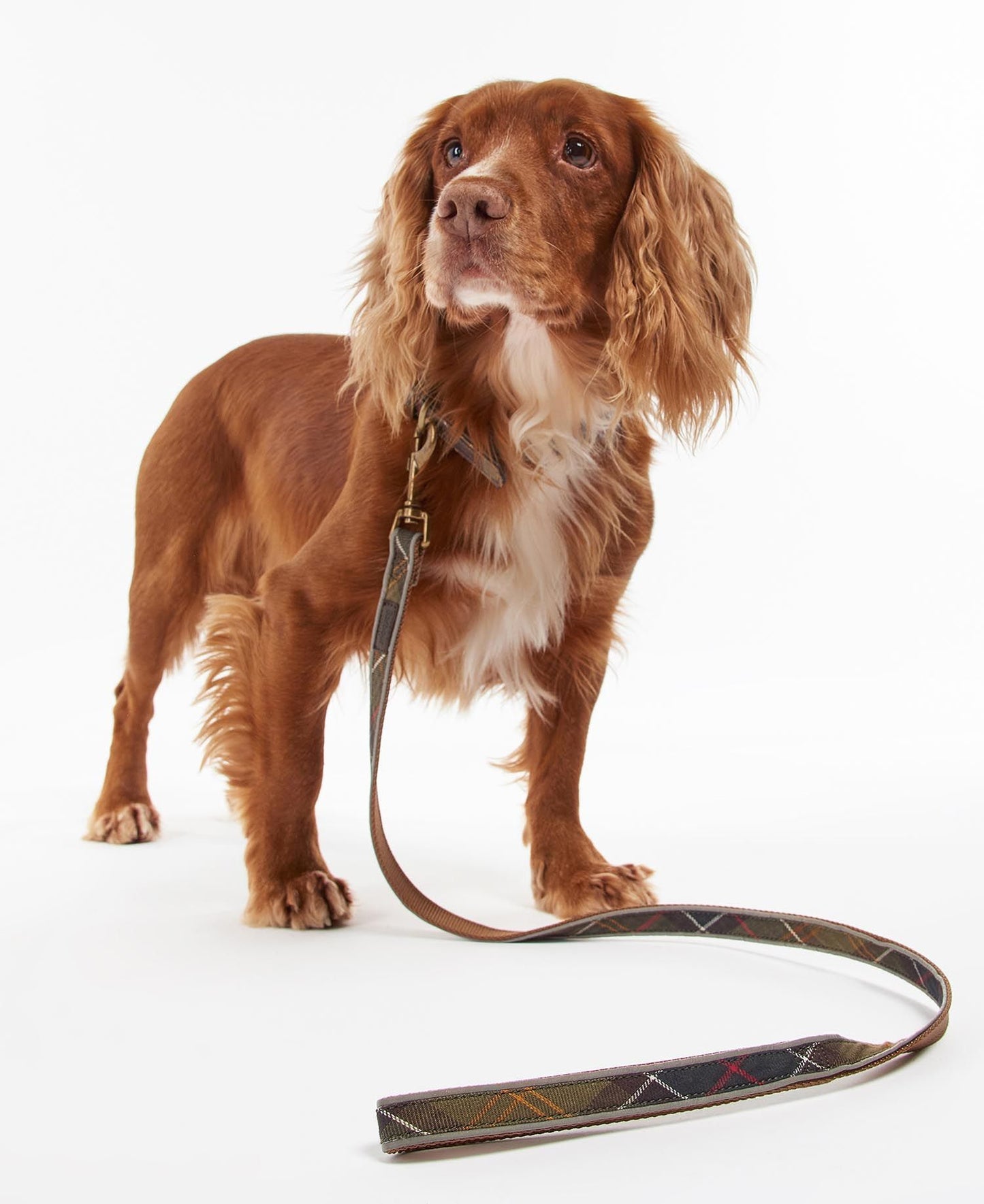 Barbour Reflective Classic Tartan Dog Lead