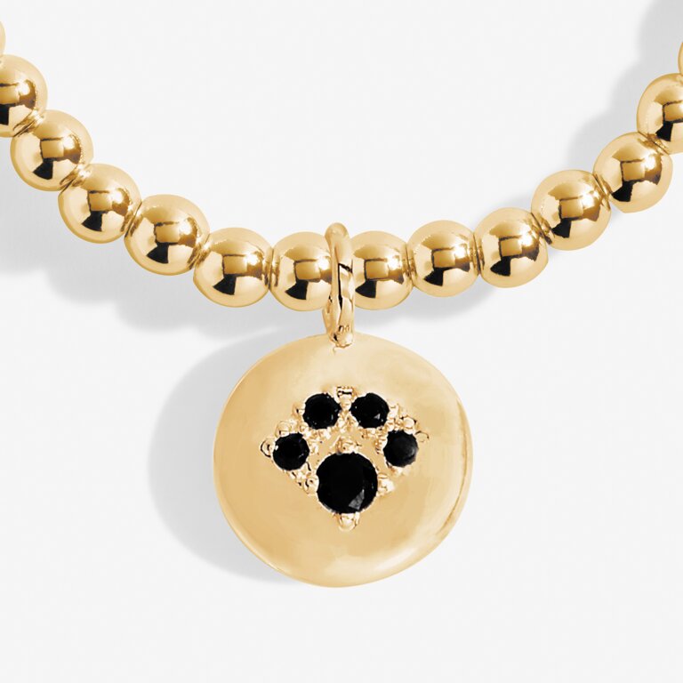 A Little 'Paw Print' Bracelet