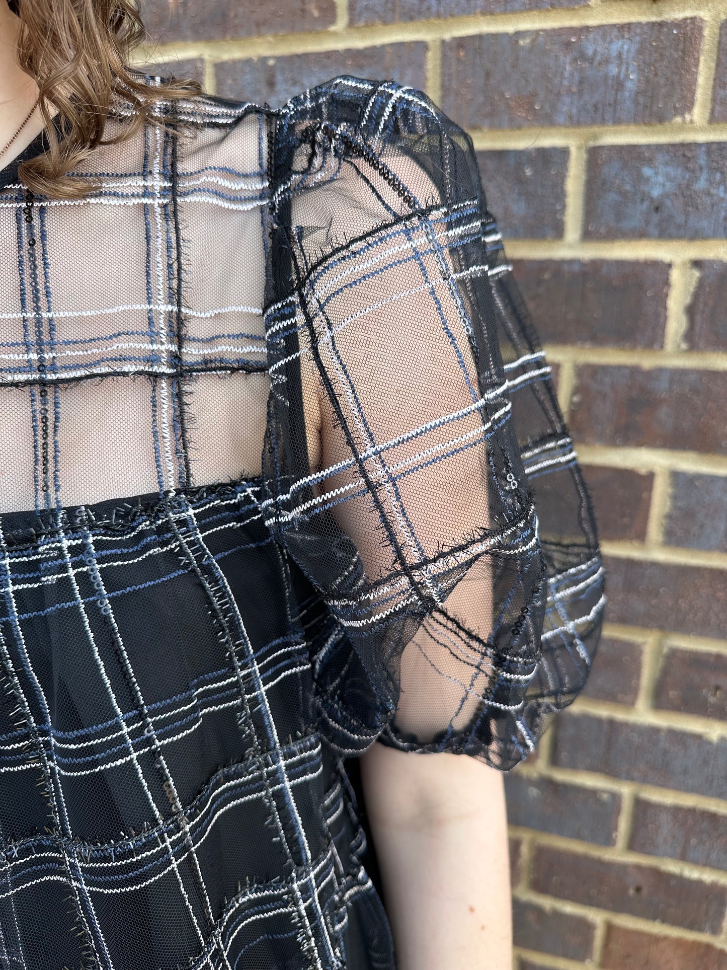 Embroidered Mesh Puff Sleeve Mini Tiered Dress