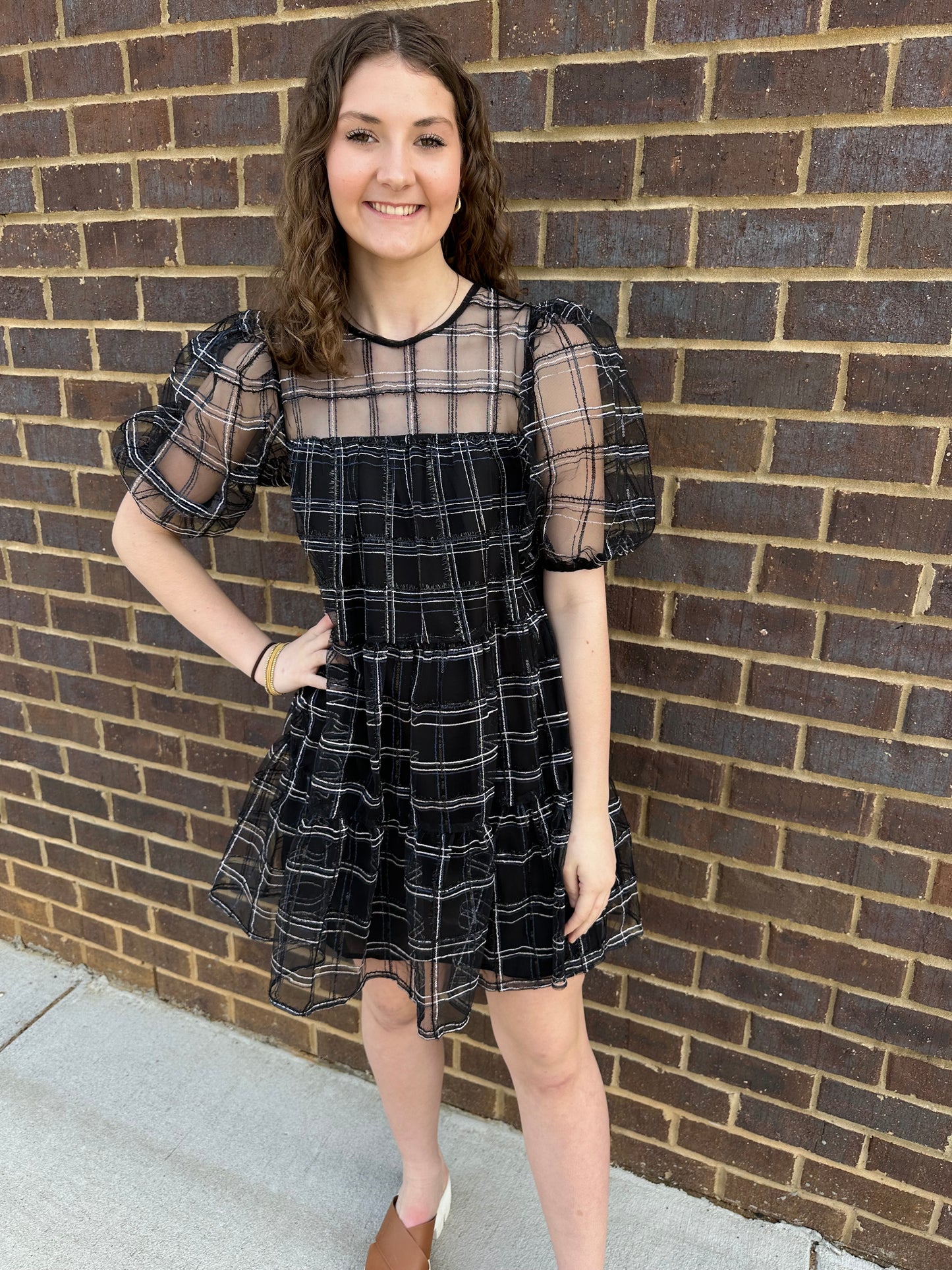 Embroidered Mesh Puff Sleeve Mini Tiered Dress