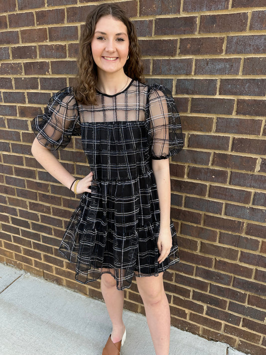 Embroidered Mesh Puff Sleeve Mini Tiered Dress