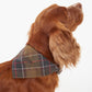 Barbour Classic Tartan Dog Bandana