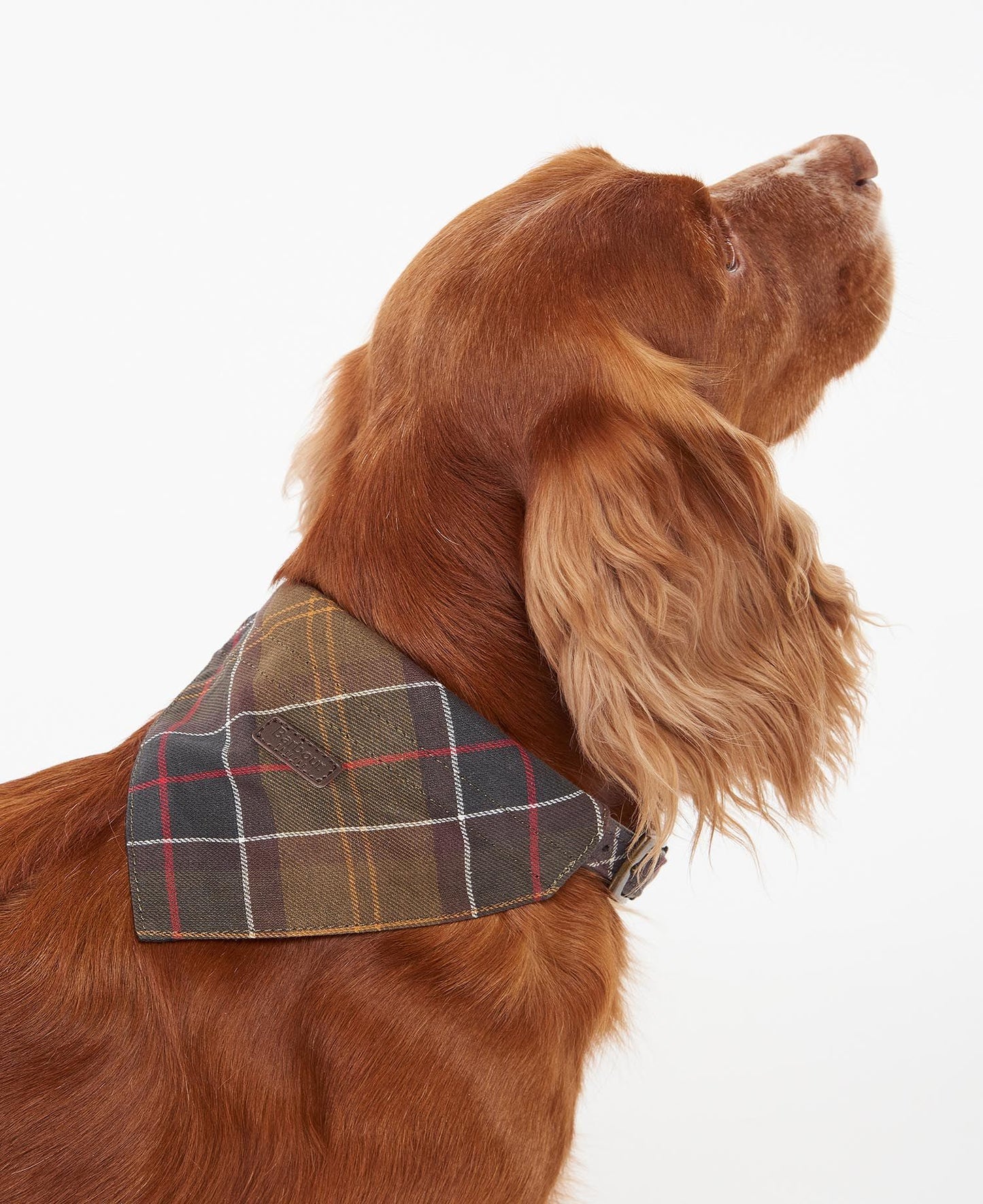 Barbour Classic Tartan Dog Bandana