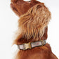 Barbour Reflective Taupe/Pink Tartan Dog Collar
