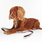 Barbour Reflective Taupe/Pink Tartan Dog Lead