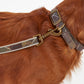 Barbour Reflective Classic Tartan Dog Lead