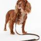 Barbour Reflective Classic Tartan Dog Lead