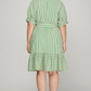 Curvy Green Striped Dress