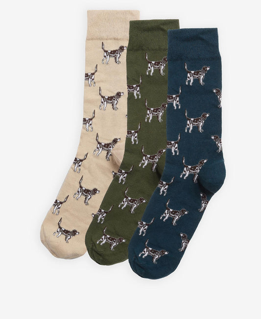Pointer Dog Sock Gift Box S/3