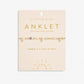 Multi Stone Anklet